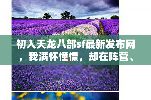 初入天龙八部sf最新发布网图片