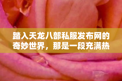 那是一段充满热血与激情的独特游戏旅程图片