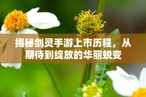 从期待到绽放的华丽蜕变图片