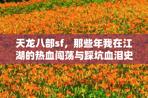 那些年我在江湖的热血闯荡与踩坑血泪史天龙私服图片