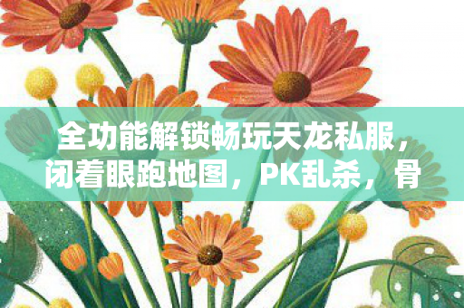 全功能解锁畅玩天龙私服图片