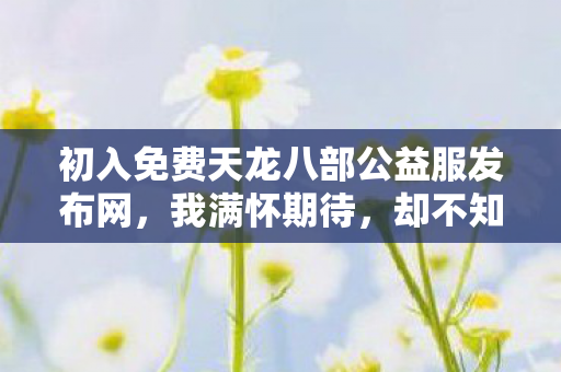 初入免费天龙八部公益服发布网图片