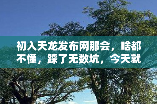 今天就给新人讲讲我的血泪史图片