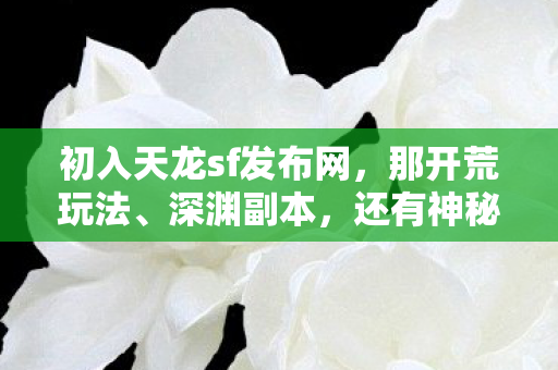 初入天龙sf发布网图片