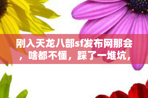 刚入天龙八部sf发布网那会图片