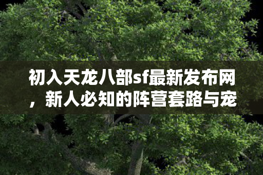新人必知的阵营套路与宠物坑血泪史大揭秘天龙八部私服图片