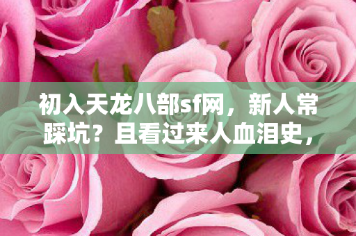 初入天龙八部sf网图片