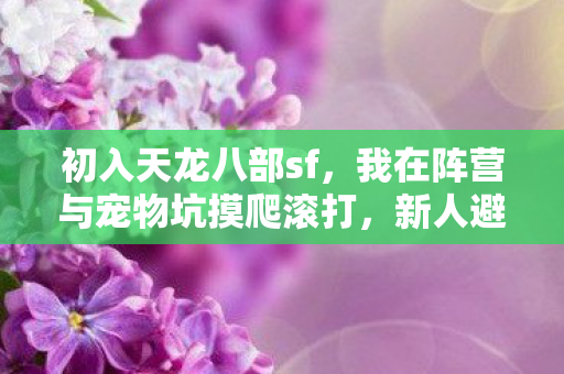 新人避坑指南来了天龙八部私服图片