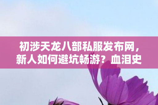 初涉天龙八部私服发布网图片