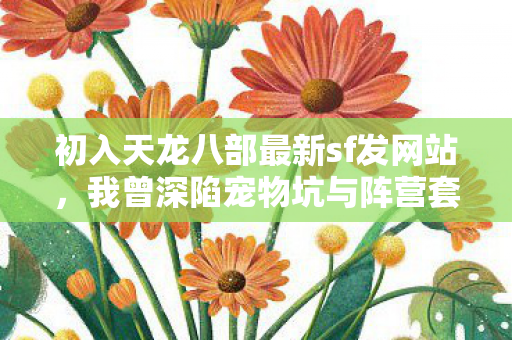 如今来给新人讲血泪史天龙八部私服图片