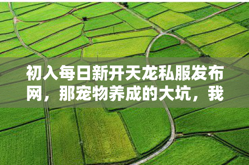 初入每日新开天龙私服发布网图片