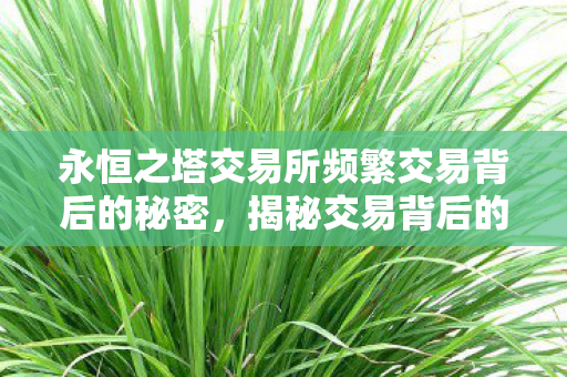 永恒之塔交易所频繁交易背后的秘密图片