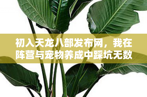 我在阵营与宠物养成中踩坑无数图片