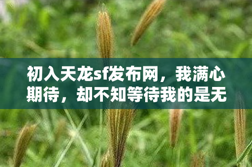 却不知等待我的是无尽的坑与泪图片