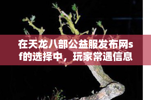 在天龙八部公益服发布网sf的选择中图片