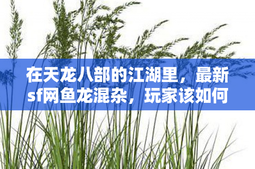 看这篇就懂天龙八部私服图片