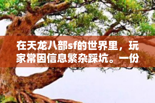 一份调研数据助你避坑选站图片