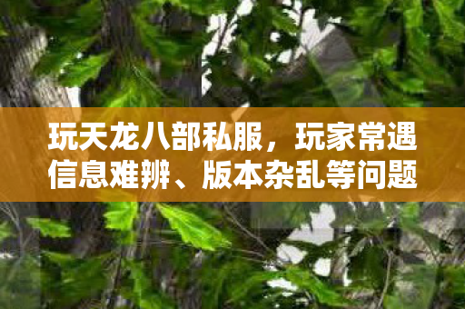 玩家常遇信息难辨图片