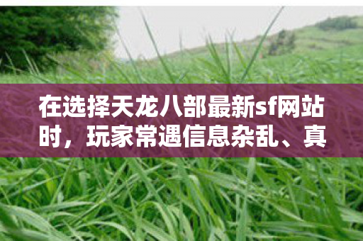 在选择天龙八部最新sf网站时图片