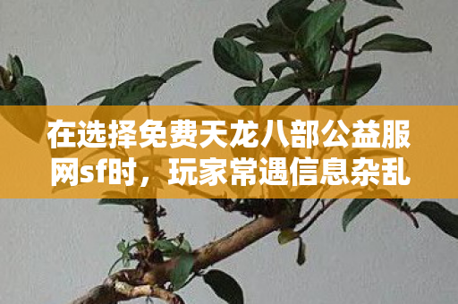 在选择免费天龙八部公益服网sf时图片
