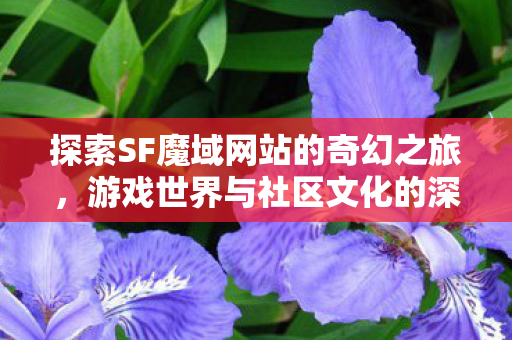 游戏世界与社区文化的深度剖析图片