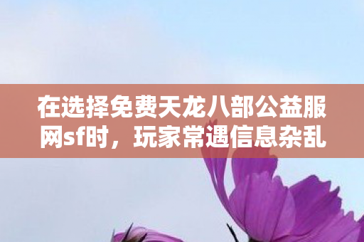 在选择免费天龙八部公益服网sf时图片