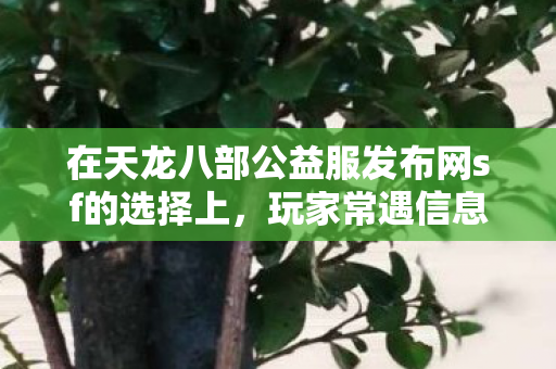 在天龙八部公益服发布网sf的选择上图片
