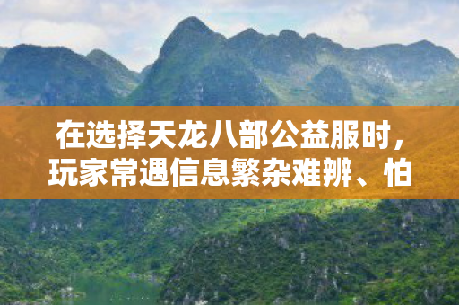 在选择天龙八部公益服时图片