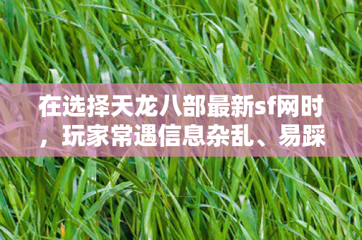 在选择天龙八部最新sf网时图片