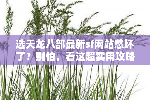 选天龙八部最新sf网站愁坏了图片