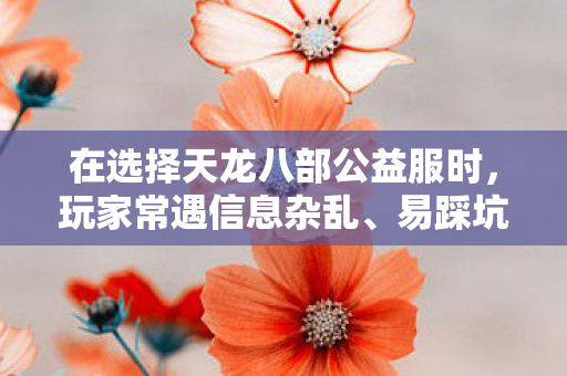 在选择天龙八部公益服时图片