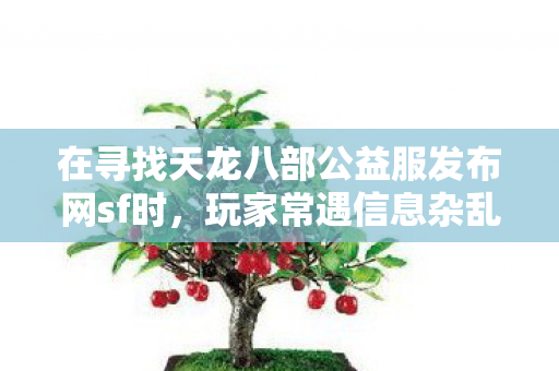 在寻找天龙八部公益服发布网sf时图片