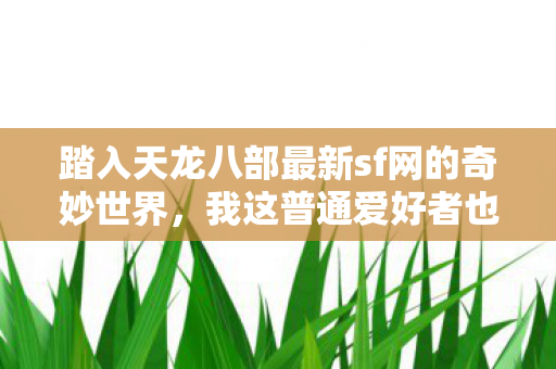 我这普通爱好者也有了独特的游戏体验图片