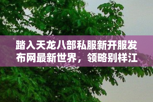 踏入天龙八部私服新开服发布网最新世界图片