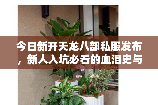 新人入坑必看的血泪史与野路子玩法大揭秘天龙私服图片