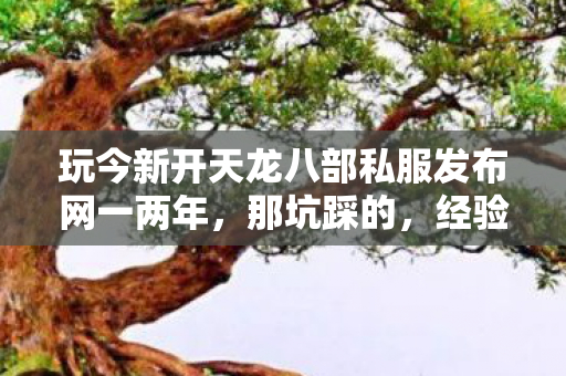玩今新开天龙八部私服发布网一两年图片