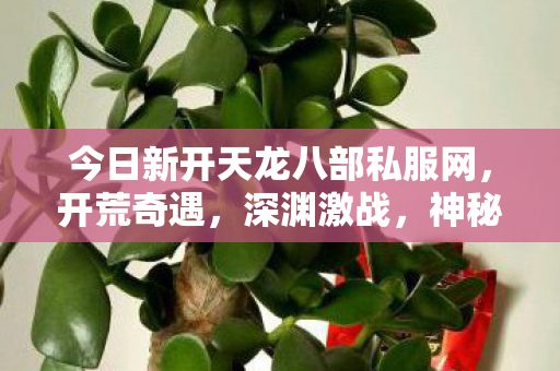 神秘 NPC 背后的趣味江湖天龙私服图片