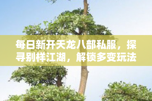 每日新开天龙八部私服图片