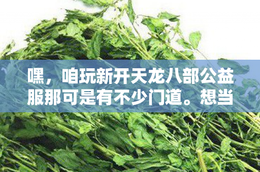 咱玩新开天龙八部公益服那可是有不少门道图片
