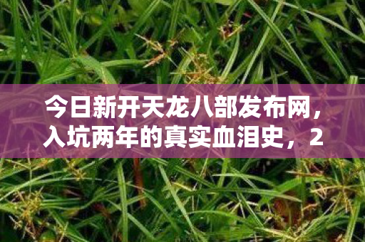 2026避坑指南大公开天龙私服图片