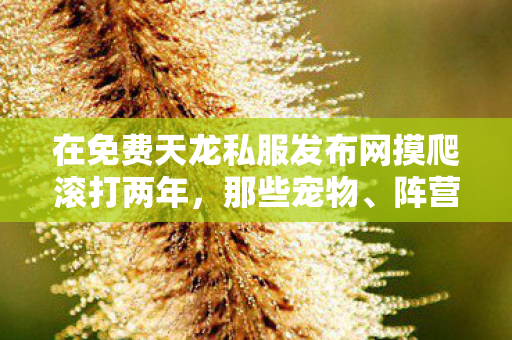 阵营里踩过的坑与野路子天龙八部私服图片
