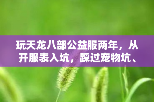 分享血泪史天龙八部私服图片