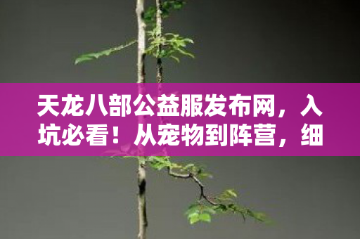 细数那些年踩过的坑天龙八部私服图片