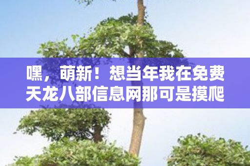 想当年我在免费天龙八部信息网那可是摸爬滚打图片