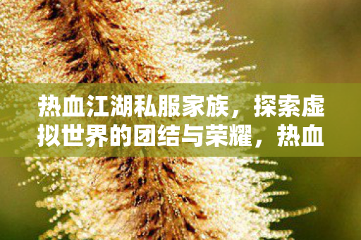 热血江湖私服家族,探索虚拟世界的团结与荣耀,热血江湖私服家族,探索虚拟世界的团结与荣耀 热血江湖私服家族,探索虚拟世界的团结与荣耀,热血江湖私服家族,探索虚拟世界的团结与荣耀
