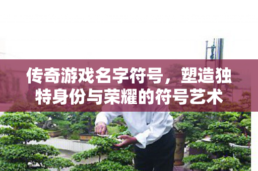 塑造独特身份与荣耀的符号艺术图片