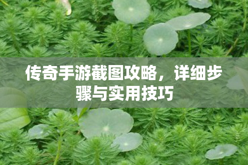 详细步骤与实用技巧图片