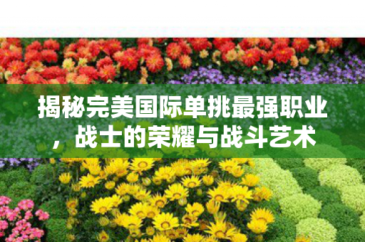 揭秘完美国际单挑最强职业图片