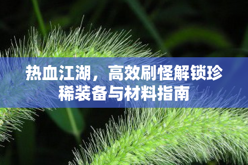 高效刷怪解锁珍稀装备与材料指南图片