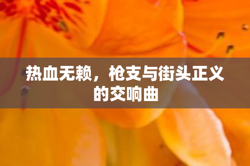 枪支与街头正义的交响曲图片